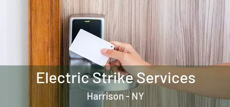  Electric Strike Services Harrison - NY