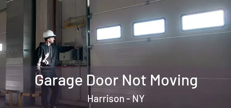 Garage Door Not Moving Harrison - NY