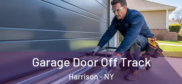  Garage Door Off Track Harrison - NY