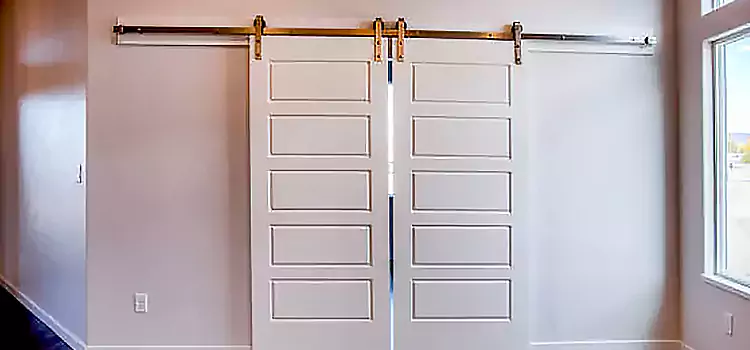 Glass Barn Door with Installation Hardware Kit Harrison